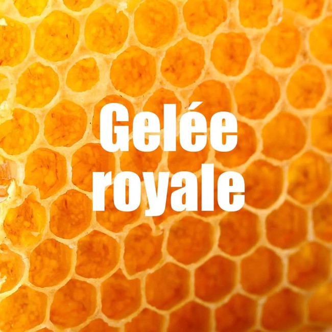 Gel Energético Overstims Coup De Fouet Frutos Rojos 34g 36 Ud