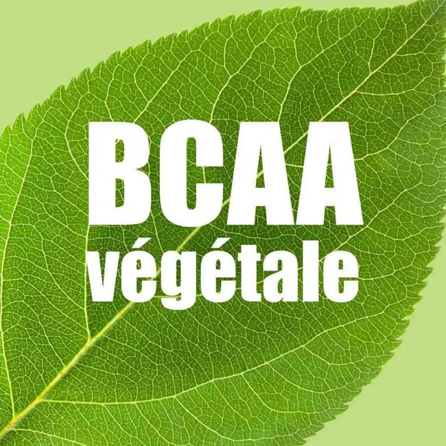 Overstims Energy Gel Energix Limon 34g Caja 36 Ud