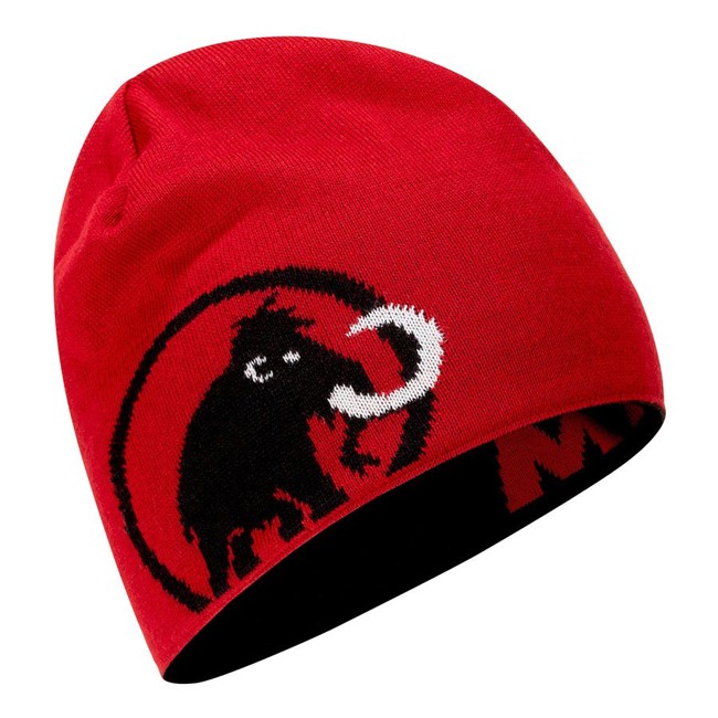 Chapéu mammut LOGO BEANIE Black