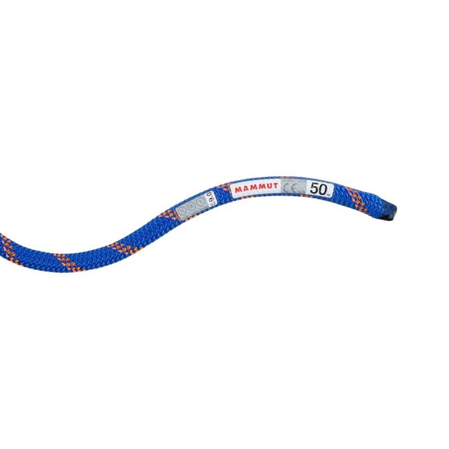 Reb mammut SENDER DRY 9.0mm x30m STN Ice/Sun