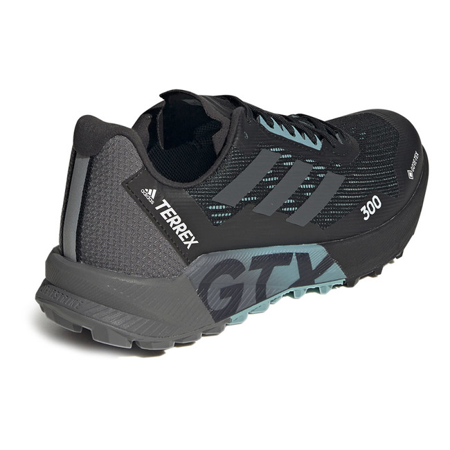 Vaelluskengät Adidas Terrex Agravic Flow 2 Gtx W Negbás/gris