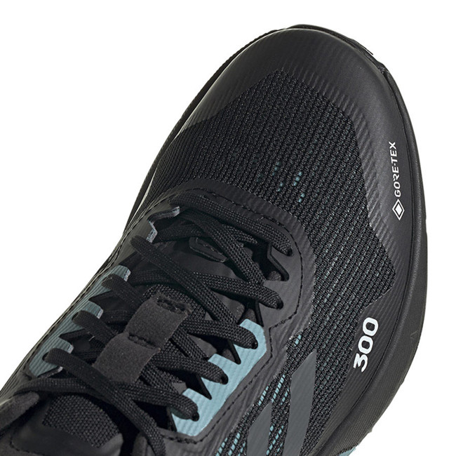 Vaelluskengät Adidas Terrex Agravic Flow 2 Gtx W Negbás/gris