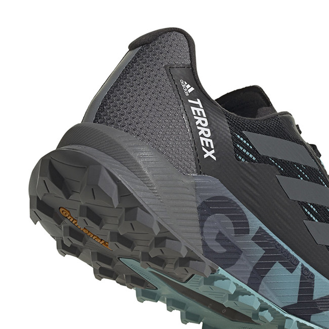 Vaelluskengät Adidas Terrex Agravic Flow 2 Gtx W Negbás/gris