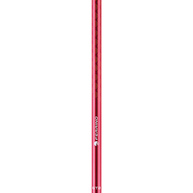 Bâtons Ferrino Stick Gta (pair)