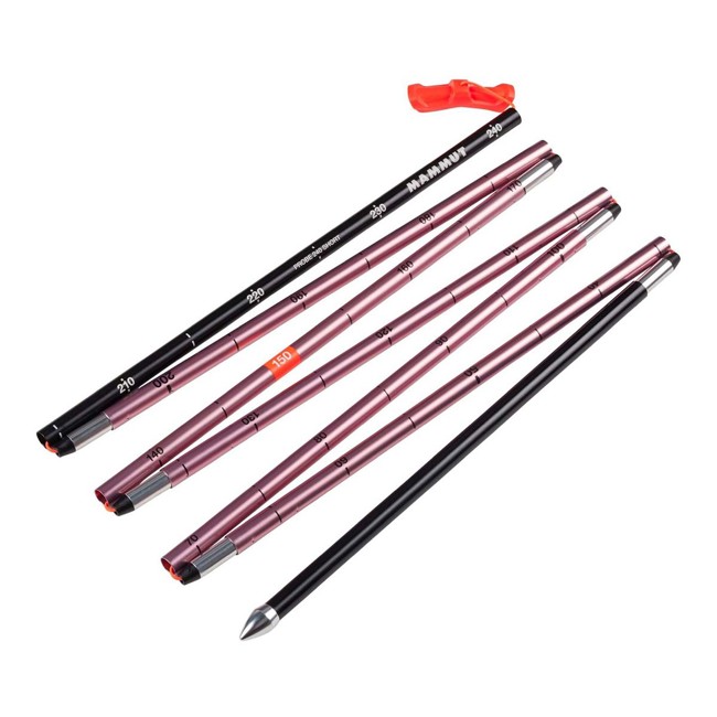 Sond mammut PROBE 240 SHORT Dragon Fruit