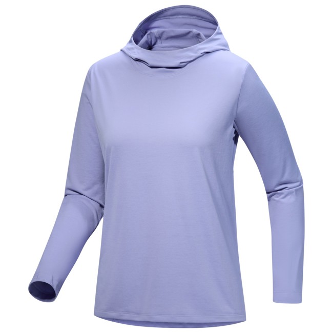 arc'teryx Sweatshirt TAEMA HOODY W