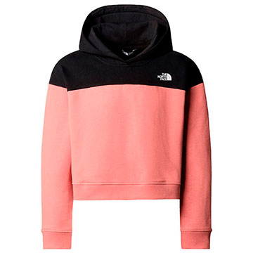  The North Face Drew Peak Crop Pullover Hoodie Girl
