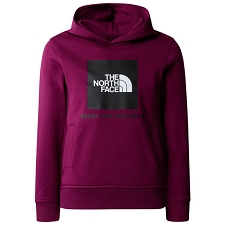 The North Face  Teens Box Hoodie