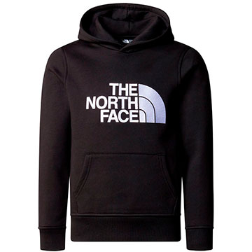 The North Face Drew Peak Pullover Hoodie Boys