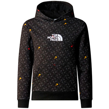  The North Face Drew Peak Light P/O Hoodie Boy