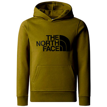  The North Face Drew Peak Hoodie Boys