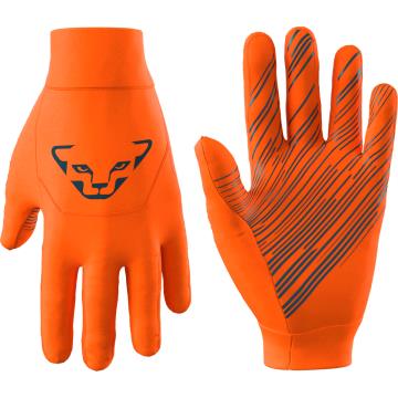 Dynafit  UPCYCLED THERMAL GLOVES Ibis/8160