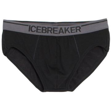  ICEBREAKER Anatomica Briefs