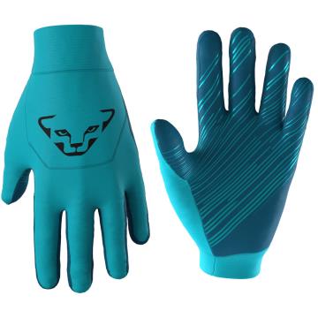  Dynafit UPCYCLED THERMAL GLOVES Silvretta/8560