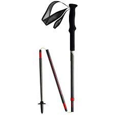 Bastones Dynafit Vertical Pro Pole