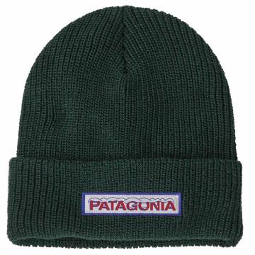 Patagonia KS LOGO BEANIE Chill: Conifer Green