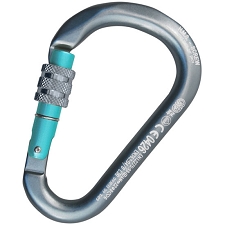  Kong H.M.S. Screw