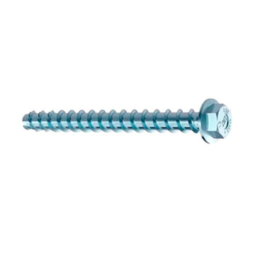 RAUMER  Tornillo MMS Plus 10x60mm