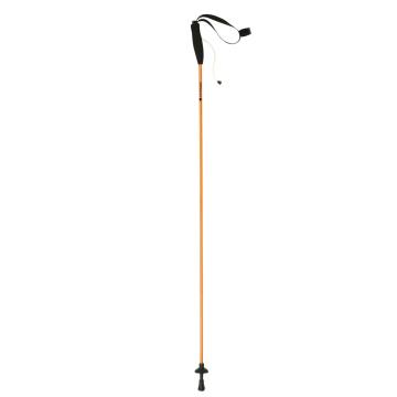 Stokken Ferrino STICK EIGER CM.125