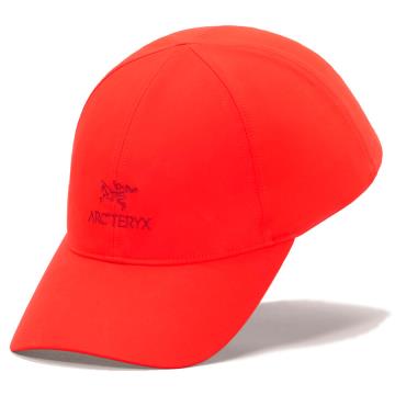  Arc'teryx Bird Word Cap Dynasty