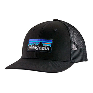 Patagonia  P-6 Logo Trucker Hat