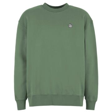  E9 Turtle-W25 Agave-Sapiens