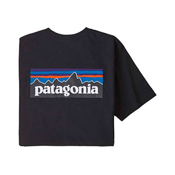  Patagonia P-6 Logo Respon Tee