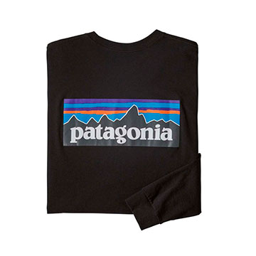  Patagonia P-6 Logo Responsibili Ls Tee