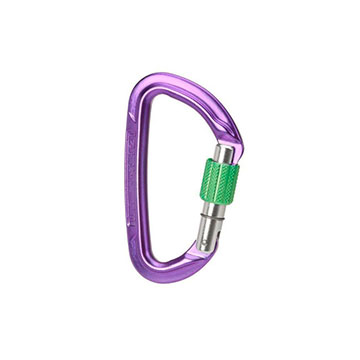  Wild Country Session Screw Gate