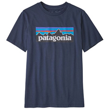 Camiseta Patagonia Regenerative Organic Cert Cop 6 Tee Boy