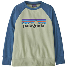 Camiseta Patagonia Lw Crew Sweat Kids