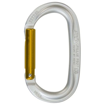 Alpinistinis karabinas Climbing Technology Pillar Pro silver
