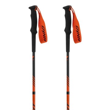 Palice Dynafit Alpine Pole Dawn