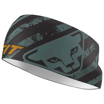 Kalsonger för kvinnor Dynafit PERFORMANCE HEADBAND Atlantic/09