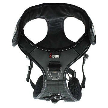 Sele RAIDLIGHT I-DOG