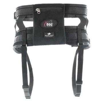 Sele RAIDLIGHT I-DOG