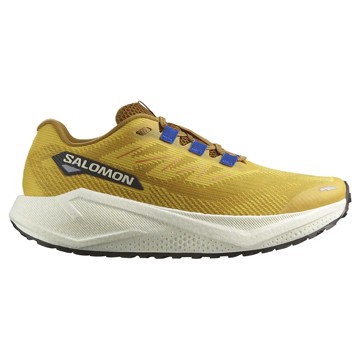 Zapatillas Salomon AERO BLAZE 3 GRVL Spicy Mustard/Vanilla