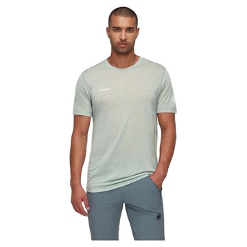 Marškinėliai Mammut TREE WOOL FL M Silver Sage Melange