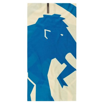 Tour de cou Mammut CUBRECUELLO LOGO Alvatern/Glacier
