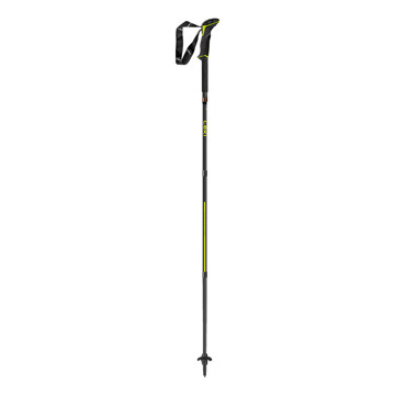 Kije Leki FX.ONE CARBON