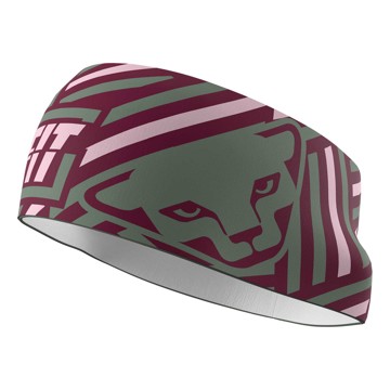 Kalsonger för kvinnor Dynafit PERFORMANCE HEADBAND Sage/6560 R