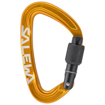 Salewa Carabiner ORTLES SCREW