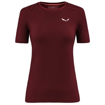 Camiseta Salewa Cristallo Warm AMR