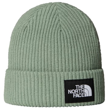 Čiapka The North Face Salty Lined Beanie Slate Moss