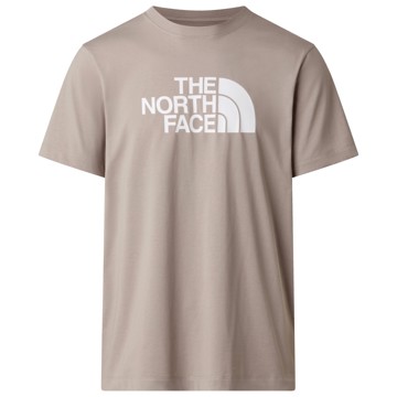 Póló The North Face M Evolution Half Dome Regular Ss Stone S