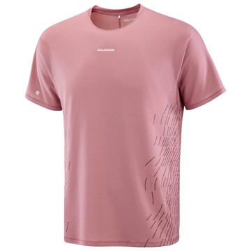 Camiseta Salomon Sense Aero Ss Tee Gfx M Dusky Orchid/Huc