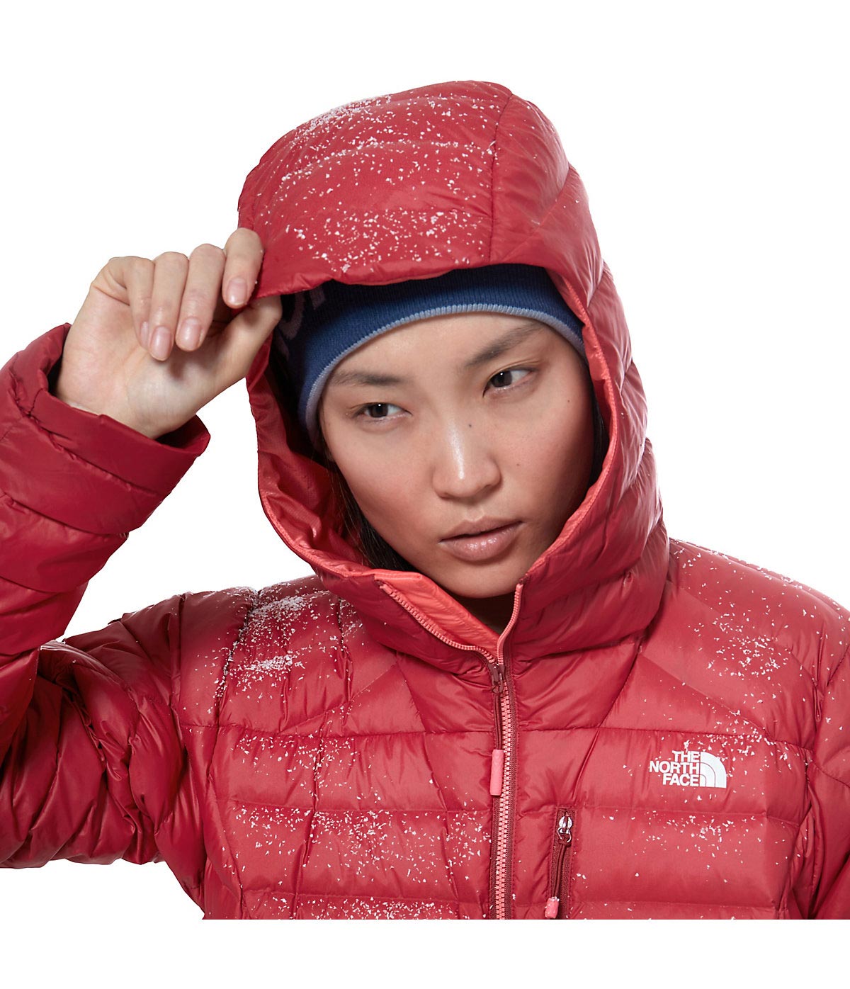 North face morph down jacket online