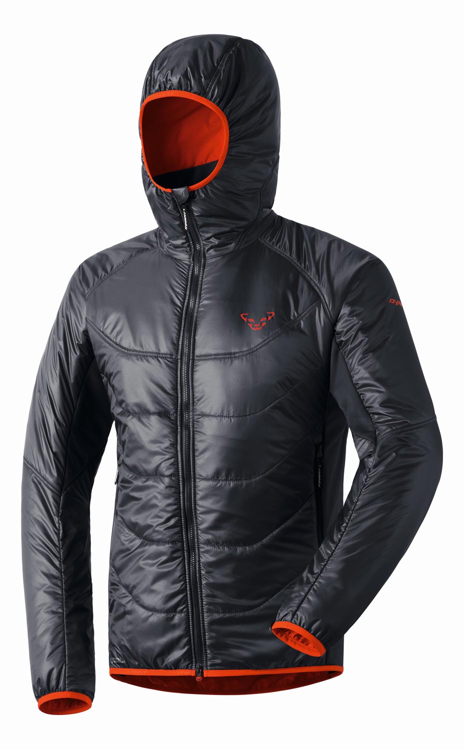 Chaqueta Dynafit Radical Primaloft Hood Jacket 0782 | Barrabes
