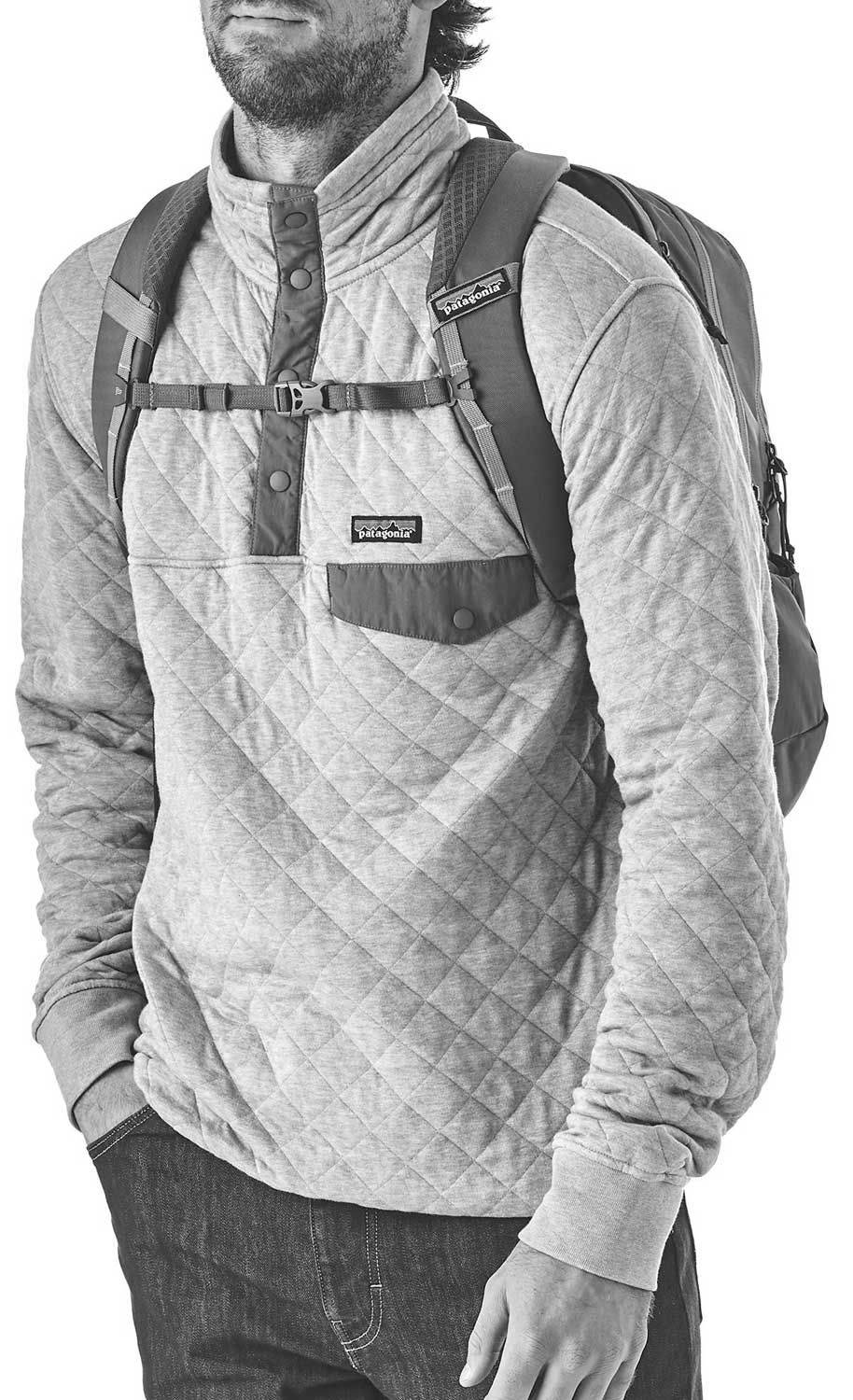 patagonia chacabuco pack 30l backpack 32L  Worn Wear and professional use Patagonia Refugio Day Pack 30L