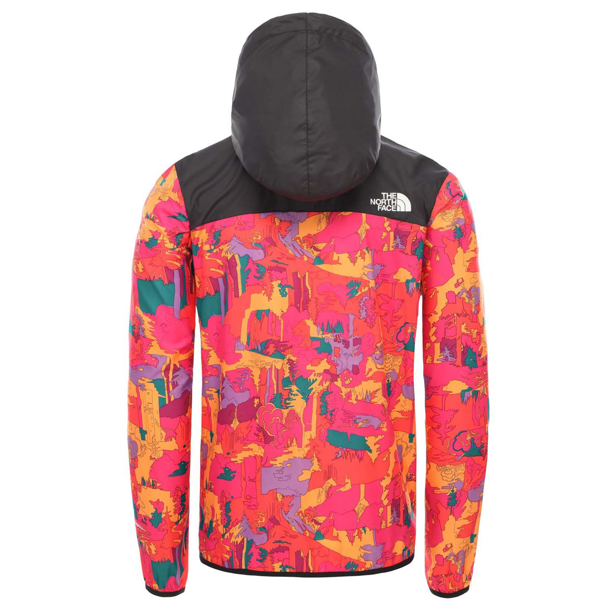 The North Face Novelty Fanorak P1q Barrabes